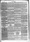 The Referee Sunday 03 November 1878 Page 7