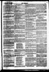 The Referee Sunday 19 January 1879 Page 7