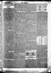 The Referee Sunday 06 April 1879 Page 5