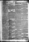 The Referee Monday 03 November 1879 Page 5