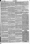 The Referee Sunday 27 November 1881 Page 3