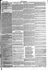 The Referee Sunday 10 September 1882 Page 7