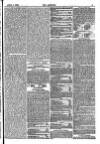 The Referee Sunday 01 April 1883 Page 5