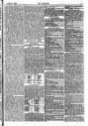 The Referee Sunday 08 April 1883 Page 5