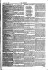The Referee Sunday 20 September 1885 Page 7