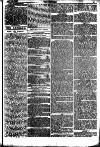 The Referee Sunday 22 January 1893 Page 5