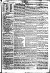 The Referee Sunday 22 January 1893 Page 7