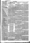 The Referee Sunday 29 January 1905 Page 7