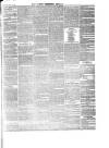 Hyde & Glossop Weekly News, and North Cheshire Herald Saturday 02 June 1860 Page 3