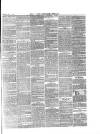 Hyde & Glossop Weekly News, and North Cheshire Herald Saturday 04 August 1860 Page 3