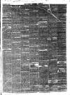 Hyde & Glossop Weekly News, and North Cheshire Herald Saturday 19 January 1861 Page 3