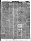 Hyde & Glossop Weekly News, and North Cheshire Herald Saturday 08 April 1865 Page 3