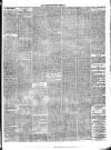 Hyde & Glossop Weekly News, and North Cheshire Herald Saturday 23 December 1865 Page 3