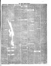 Hyde & Glossop Weekly News, and North Cheshire Herald Saturday 24 February 1866 Page 3