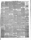 Hyde & Glossop Weekly News, and North Cheshire Herald Saturday 03 March 1866 Page 3