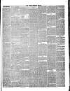 Hyde & Glossop Weekly News, and North Cheshire Herald Saturday 17 March 1866 Page 3