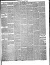 Hyde & Glossop Weekly News, and North Cheshire Herald Saturday 28 April 1866 Page 3