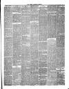 Hyde & Glossop Weekly News, and North Cheshire Herald Saturday 05 May 1866 Page 3