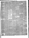 Hyde & Glossop Weekly News, and North Cheshire Herald Saturday 12 May 1866 Page 3