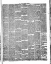 Hyde & Glossop Weekly News, and North Cheshire Herald Saturday 02 June 1866 Page 3