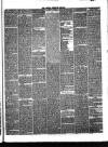 Hyde & Glossop Weekly News, and North Cheshire Herald Saturday 16 June 1866 Page 3