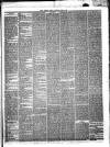 Hyde & Glossop Weekly News, and North Cheshire Herald Saturday 30 June 1866 Page 3