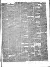 Hyde & Glossop Weekly News, and North Cheshire Herald Saturday 01 June 1867 Page 3