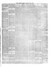 Hyde & Glossop Weekly News, and North Cheshire Herald Saturday 03 April 1869 Page 3