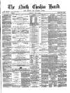 Hyde & Glossop Weekly News, and North Cheshire Herald Saturday 19 June 1869 Page 1