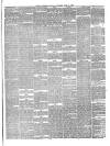 Hyde & Glossop Weekly News, and North Cheshire Herald Saturday 26 June 1869 Page 3