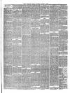 Hyde & Glossop Weekly News, and North Cheshire Herald Saturday 07 August 1869 Page 3