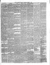 Hyde & Glossop Weekly News, and North Cheshire Herald Saturday 05 March 1870 Page 3