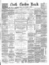 Hyde & Glossop Weekly News, and North Cheshire Herald Saturday 14 January 1871 Page 1