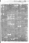 Hyde & Glossop Weekly News, and North Cheshire Herald Saturday 09 March 1872 Page 3