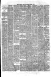 Hyde & Glossop Weekly News, and North Cheshire Herald Saturday 06 April 1872 Page 3