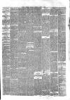 Hyde & Glossop Weekly News, and North Cheshire Herald Saturday 20 April 1872 Page 3