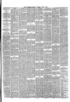 Hyde & Glossop Weekly News, and North Cheshire Herald Saturday 01 June 1872 Page 3