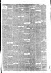 Hyde & Glossop Weekly News, and North Cheshire Herald Saturday 17 August 1872 Page 3