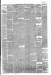 Hyde & Glossop Weekly News, and North Cheshire Herald Saturday 31 August 1872 Page 3