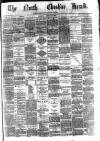 Hyde & Glossop Weekly News, and North Cheshire Herald Saturday 11 January 1873 Page 1