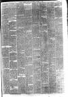 Hyde & Glossop Weekly News, and North Cheshire Herald Saturday 11 January 1873 Page 3