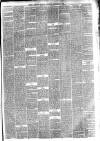 Hyde & Glossop Weekly News, and North Cheshire Herald Saturday 25 January 1873 Page 3
