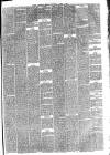 Hyde & Glossop Weekly News, and North Cheshire Herald Saturday 05 April 1873 Page 3