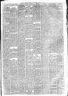 Hyde & Glossop Weekly News, and North Cheshire Herald Saturday 19 April 1873 Page 3