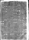 Hyde & Glossop Weekly News, and North Cheshire Herald Saturday 07 June 1873 Page 3