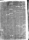 Hyde & Glossop Weekly News, and North Cheshire Herald Saturday 30 August 1873 Page 3