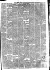 Hyde & Glossop Weekly News, and North Cheshire Herald Saturday 06 December 1873 Page 3