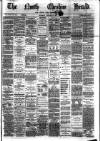 Hyde & Glossop Weekly News, and North Cheshire Herald Saturday 24 January 1874 Page 1