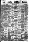 Hyde & Glossop Weekly News, and North Cheshire Herald Saturday 28 March 1874 Page 1
