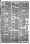 Hyde & Glossop Weekly News, and North Cheshire Herald Saturday 28 March 1874 Page 3